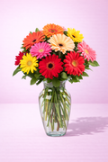🌼 Alegría Infinita — 24 Gerberas en Jarrón